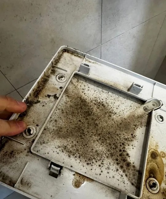곰팡이가 핀 환풍기 커버 뒷면